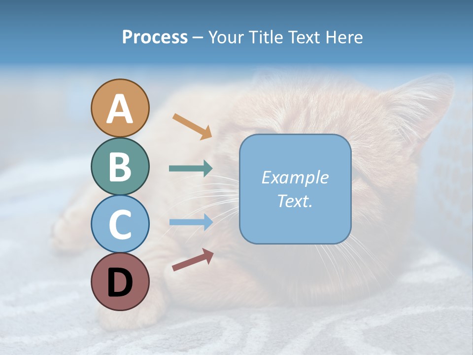 Fur Pet Blanket PowerPoint Template