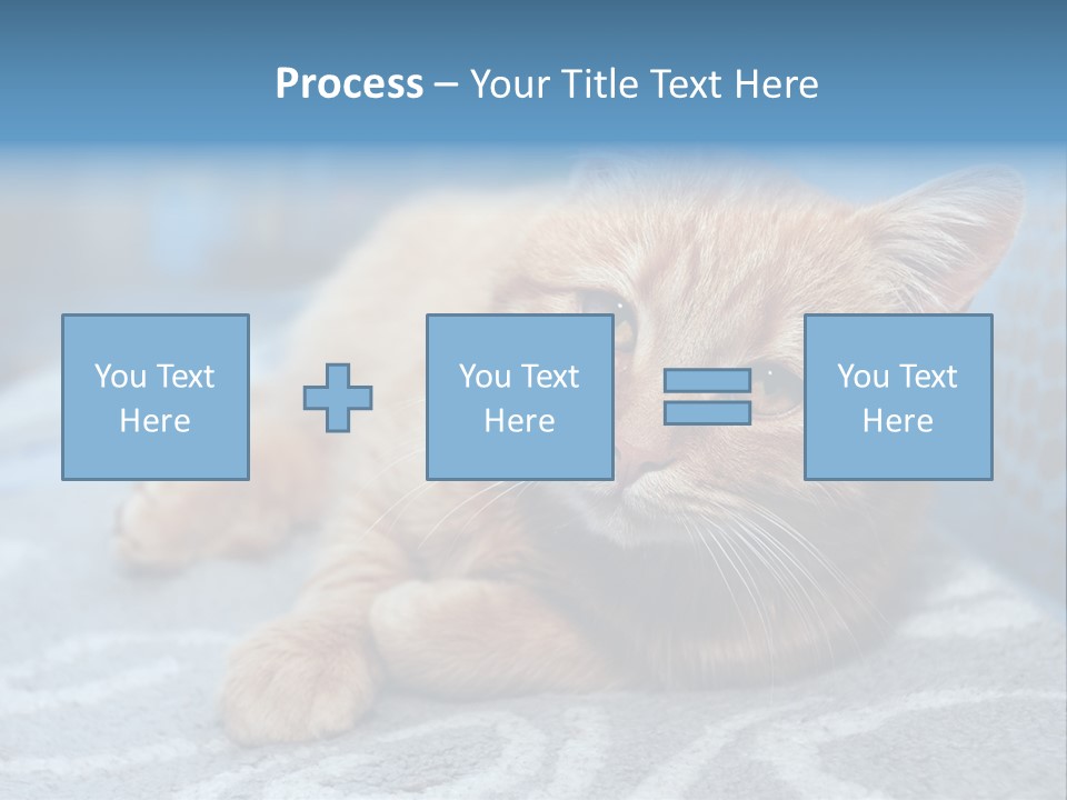 Fur Pet Blanket PowerPoint Template