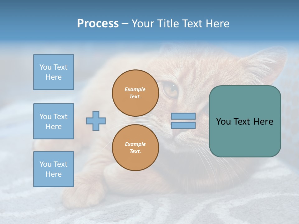 Fur Pet Blanket PowerPoint Template