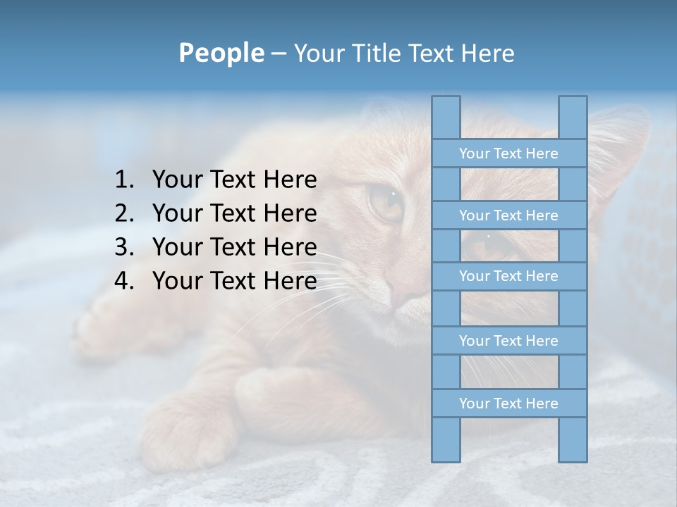 Fur Pet Blanket PowerPoint Template