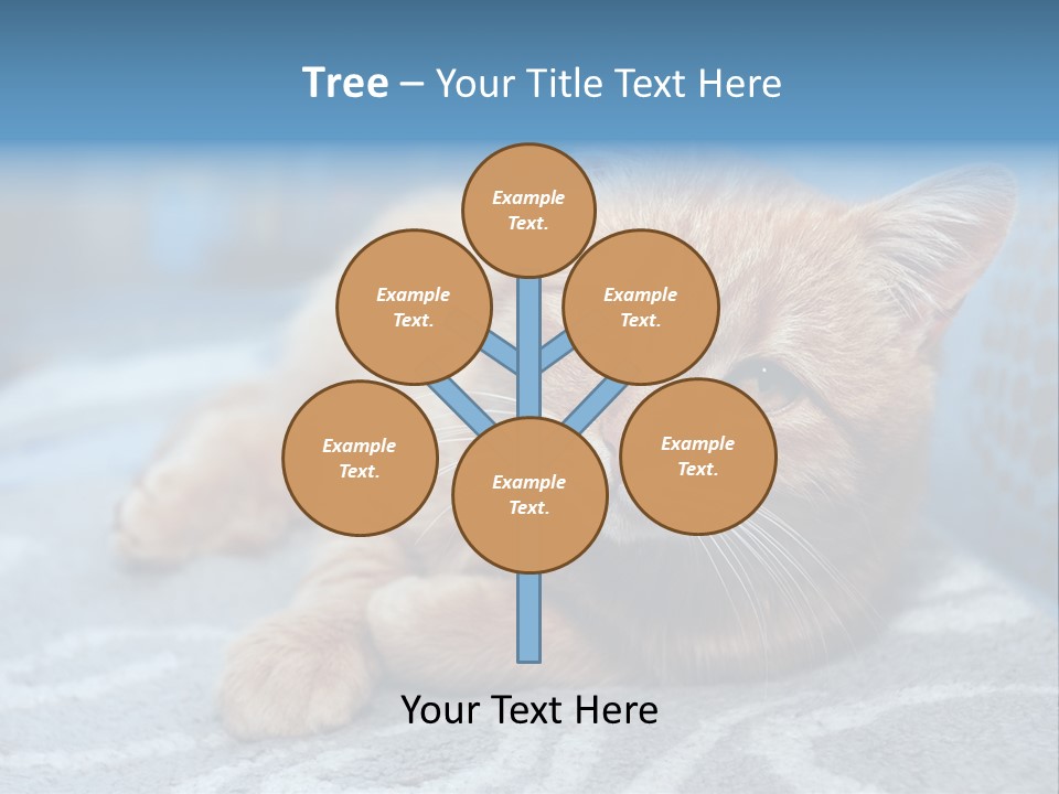 Fur Pet Blanket PowerPoint Template