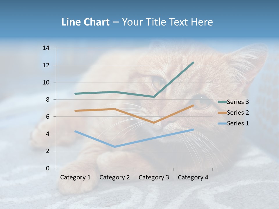 Fur Pet Blanket PowerPoint Template