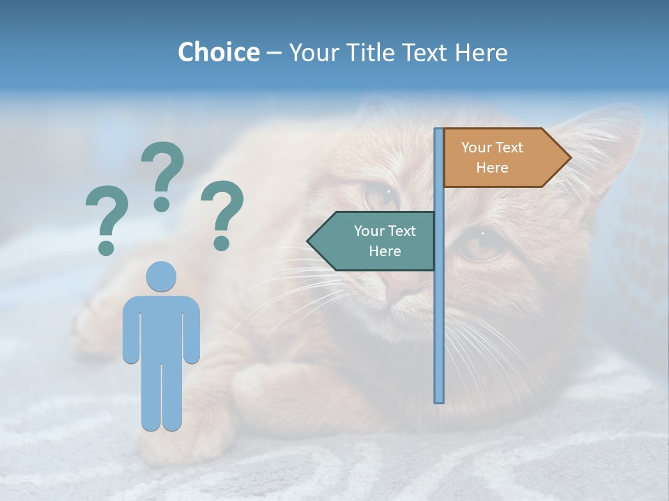 Fur Pet Blanket PowerPoint Template