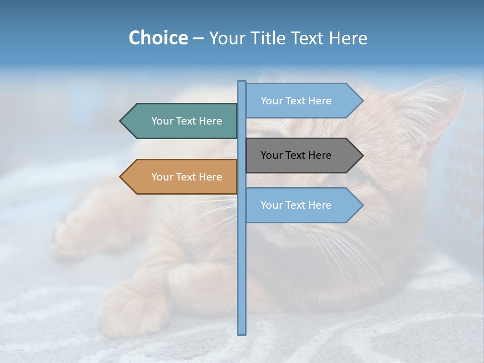 Fur Pet Blanket PowerPoint Template