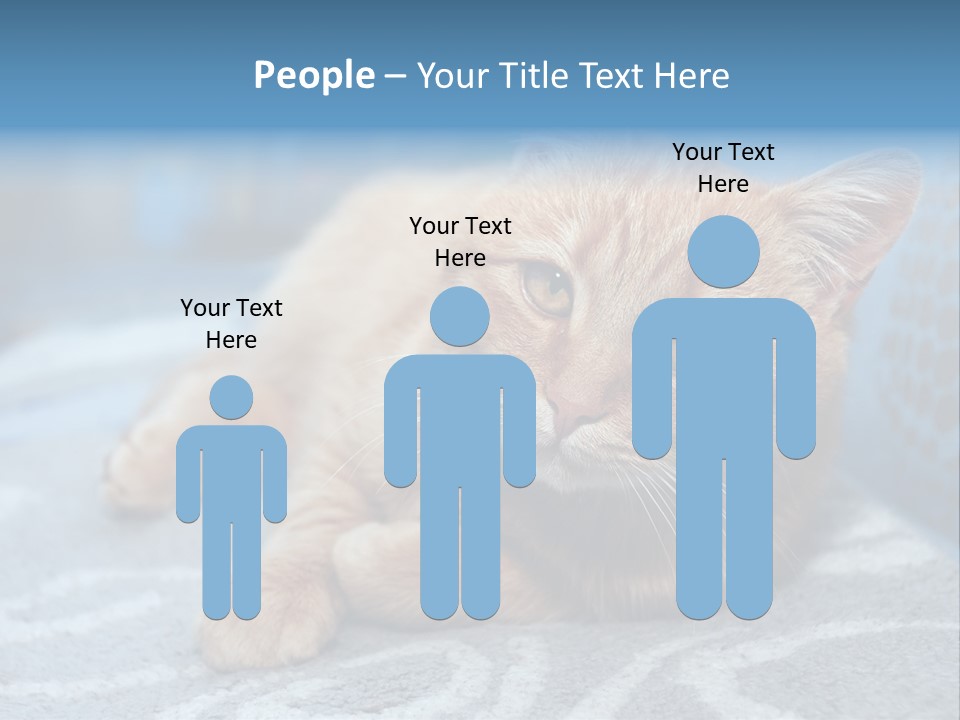 Fur Pet Blanket PowerPoint Template