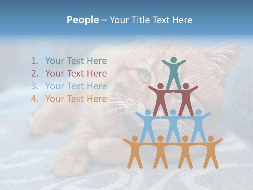 Fur Pet Blanket PowerPoint Template