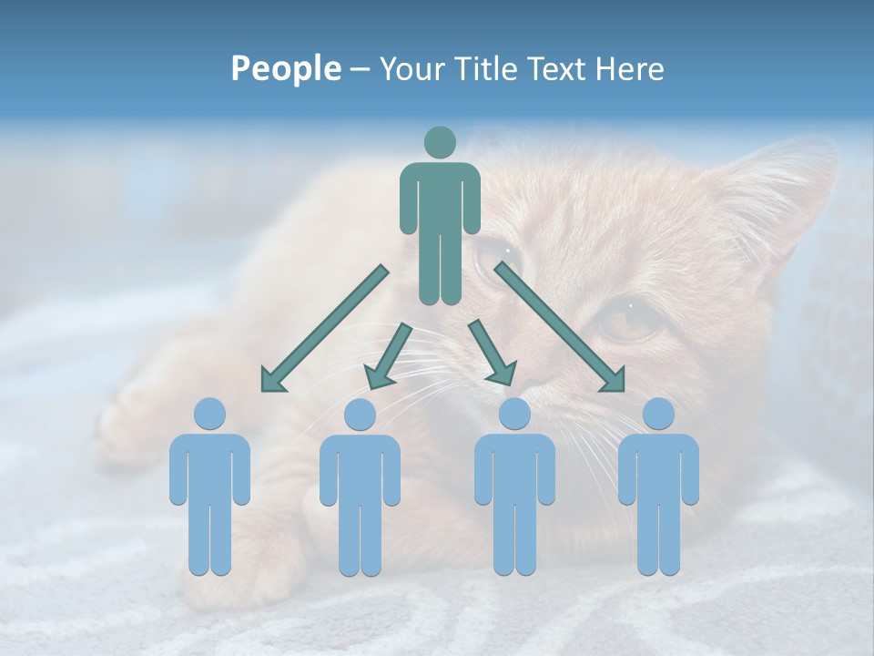Fur Pet Blanket PowerPoint Template