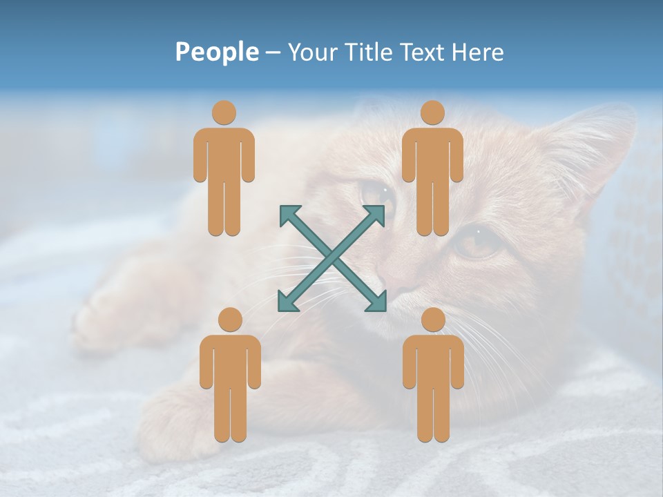 Fur Pet Blanket PowerPoint Template