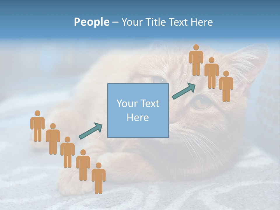 Fur Pet Blanket PowerPoint Template