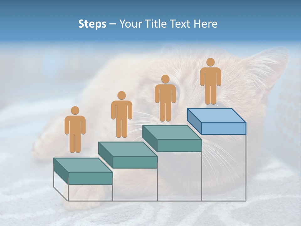 Fur Pet Blanket PowerPoint Template