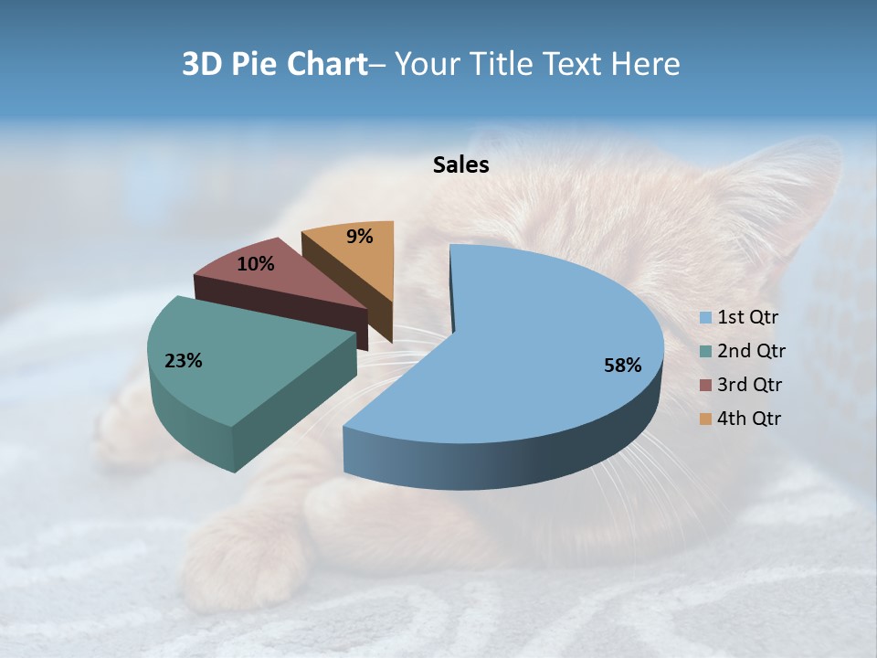 Fur Pet Blanket PowerPoint Template