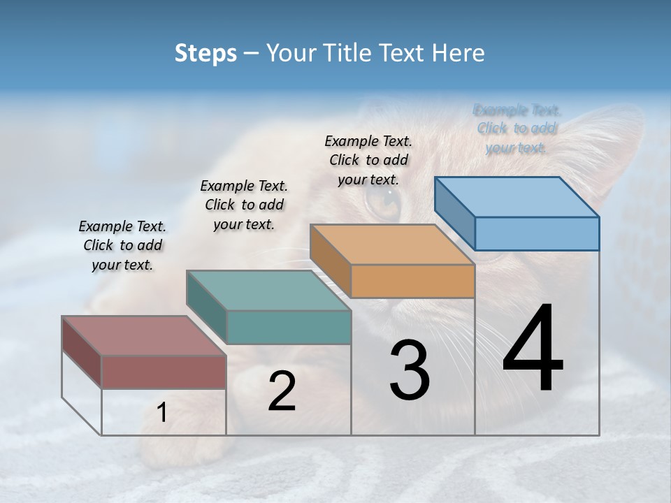 Fur Pet Blanket PowerPoint Template