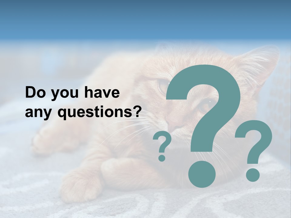 Fur Pet Blanket PowerPoint Template