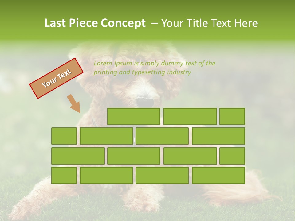 Cute Lying Poodle PowerPoint Template