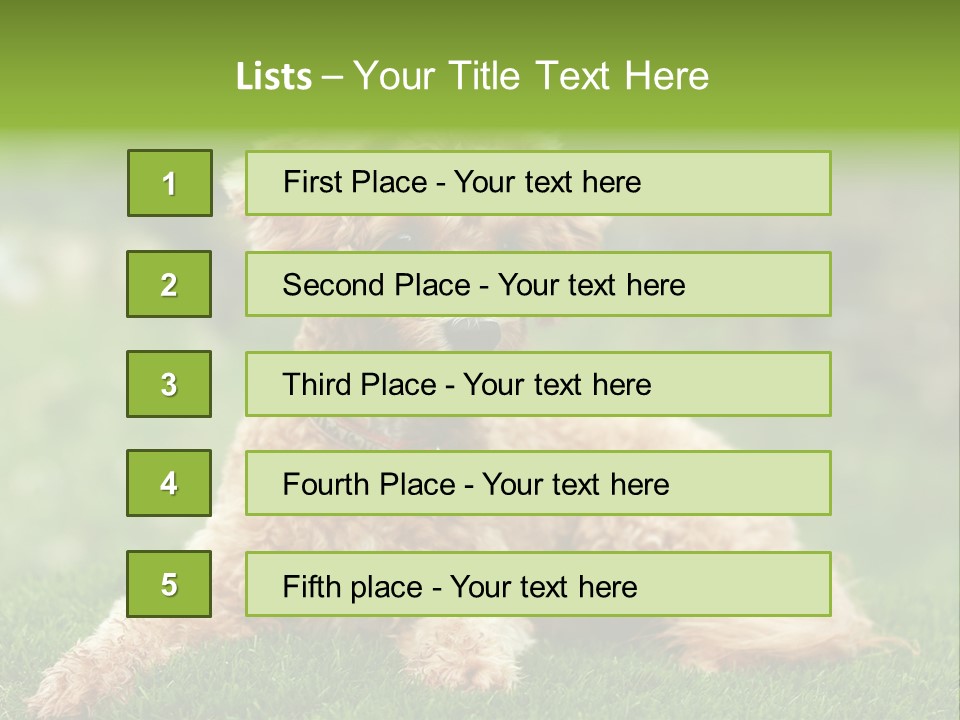 Cute Lying Poodle PowerPoint Template