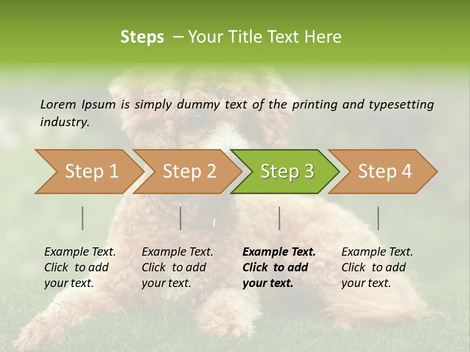 Cute Lying Poodle PowerPoint Template