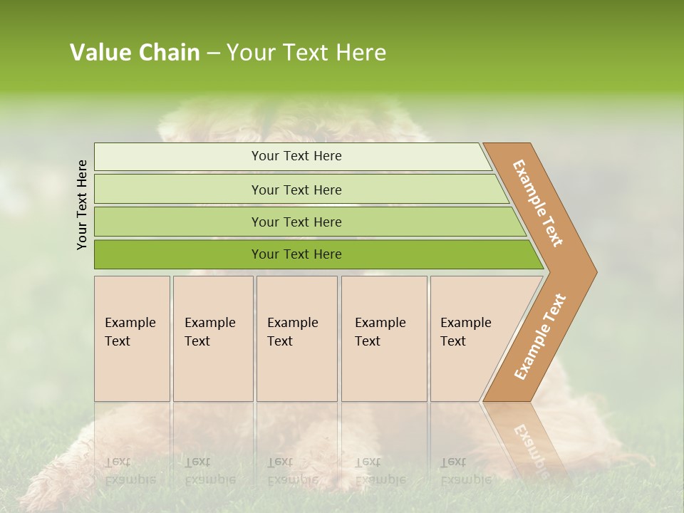 Cute Lying Poodle PowerPoint Template