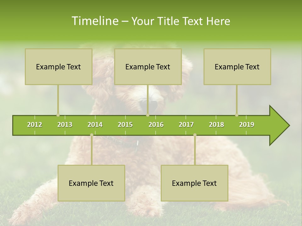 Cute Lying Poodle PowerPoint Template