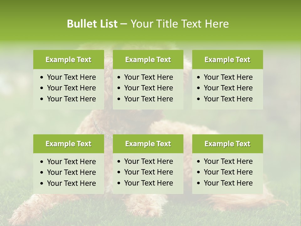 Cute Lying Poodle PowerPoint Template