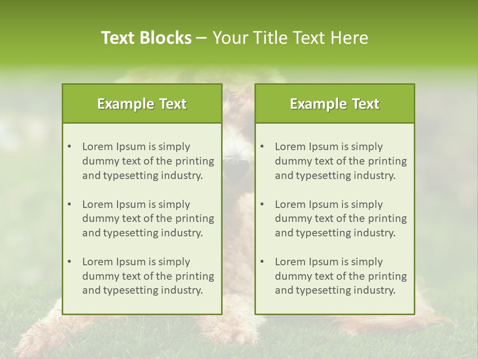 Cute Lying Poodle PowerPoint Template