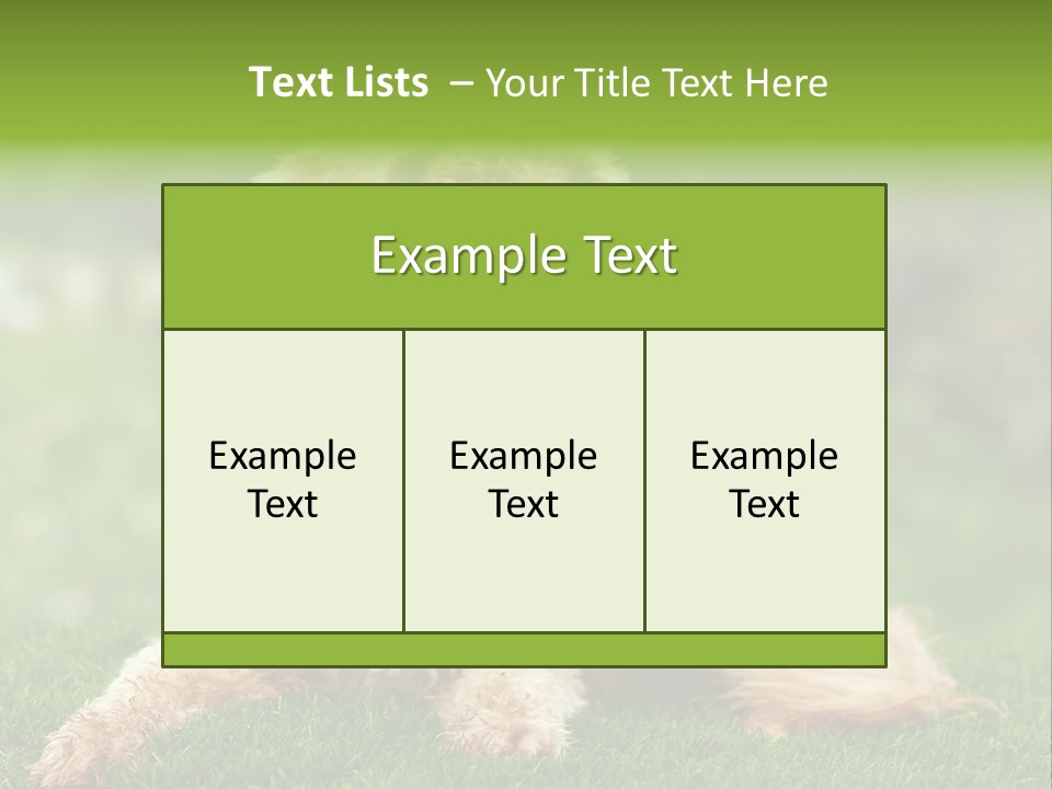 Cute Lying Poodle PowerPoint Template