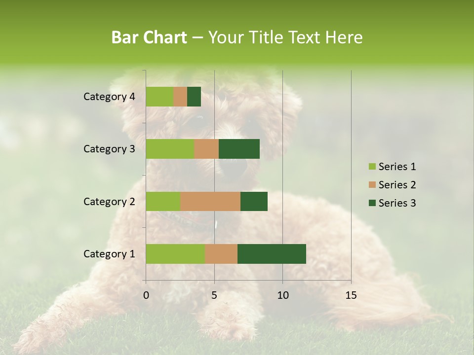 Cute Lying Poodle PowerPoint Template