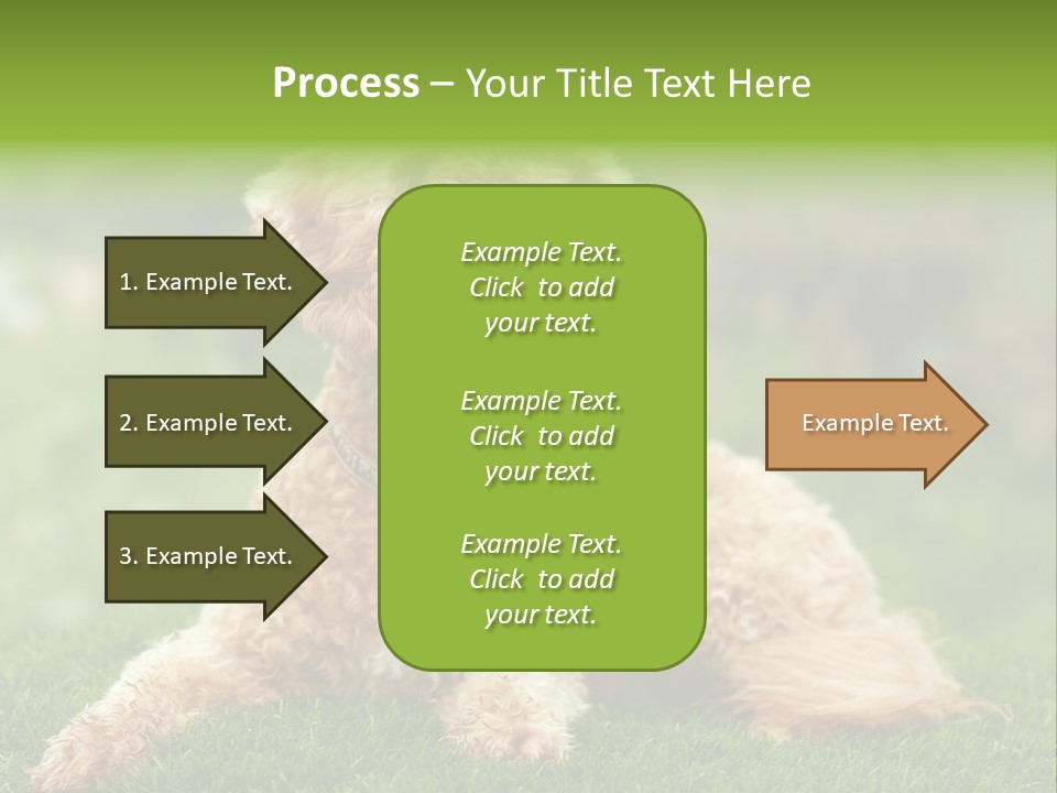 Cute Lying Poodle PowerPoint Template