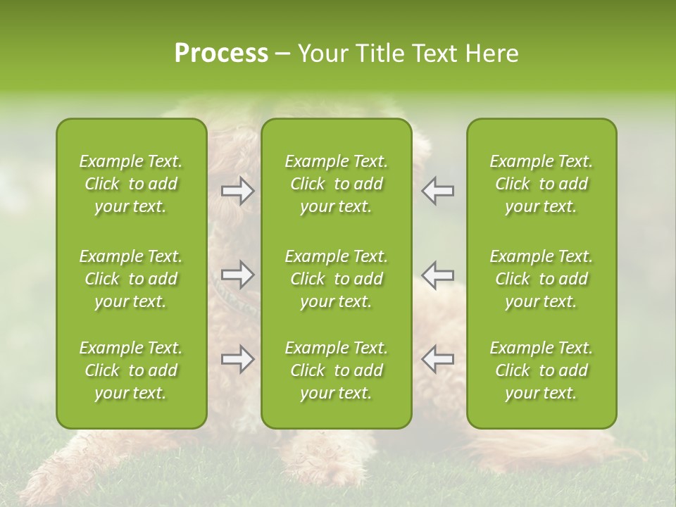 Cute Lying Poodle PowerPoint Template