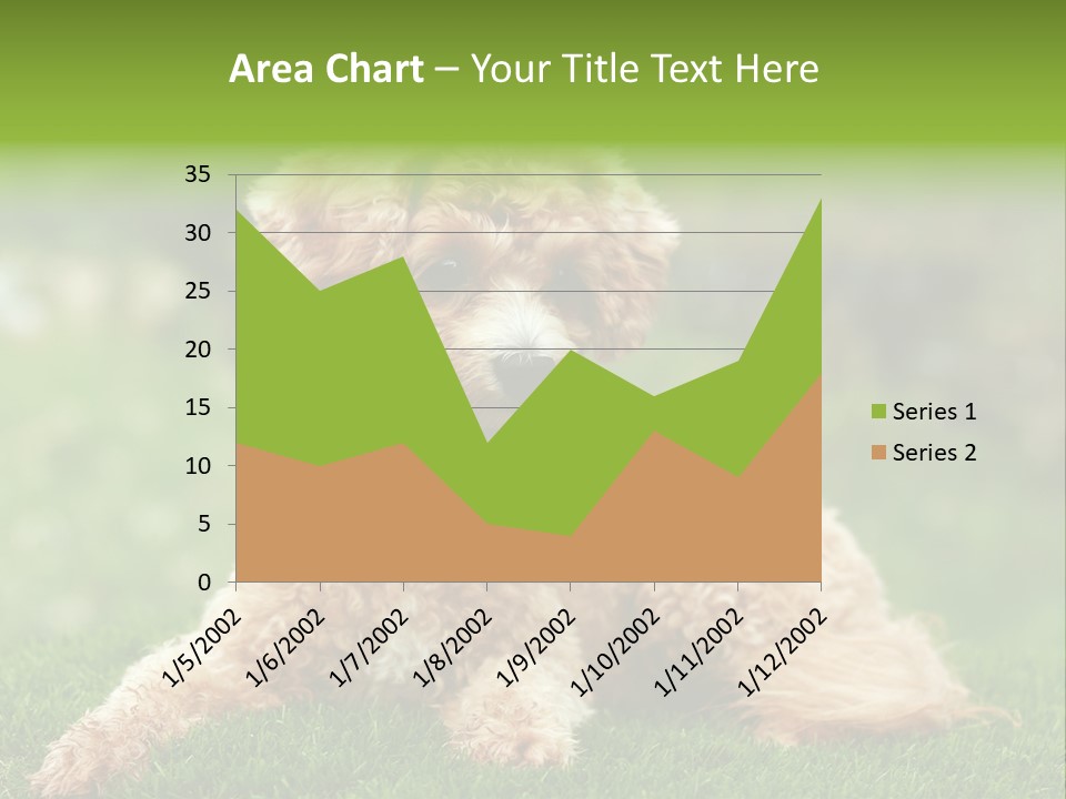 Cute Lying Poodle PowerPoint Template