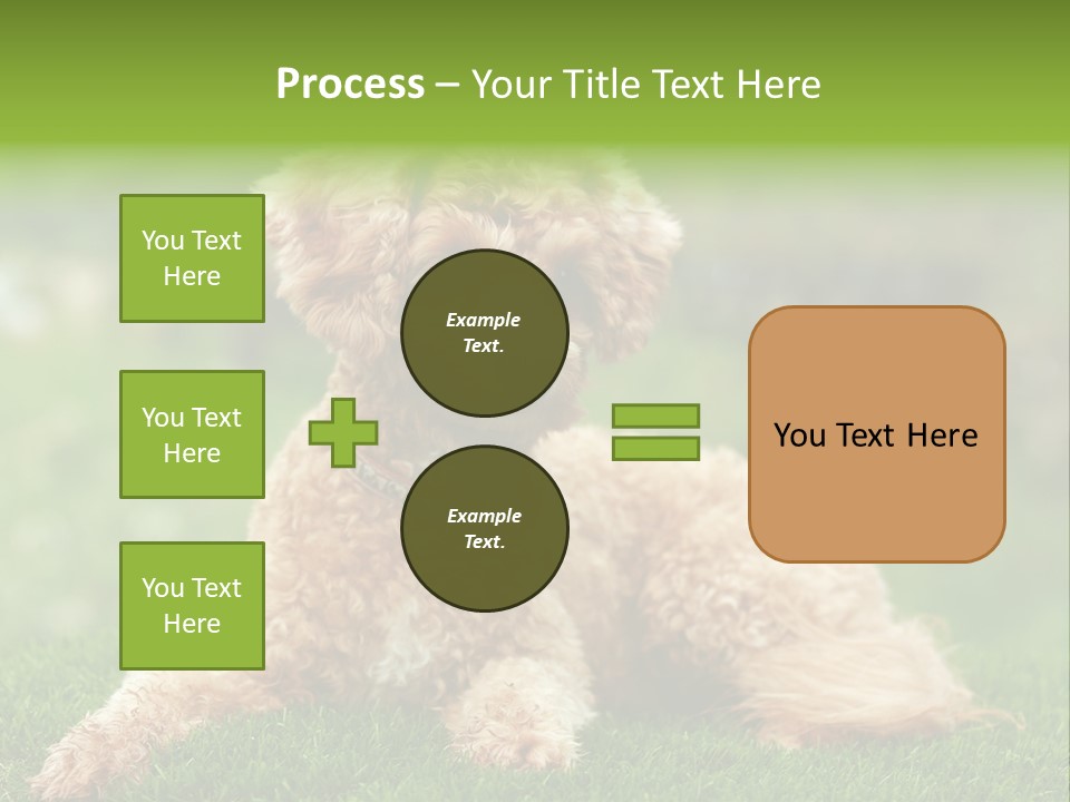 Cute Lying Poodle PowerPoint Template