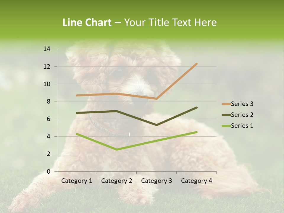 Cute Lying Poodle PowerPoint Template