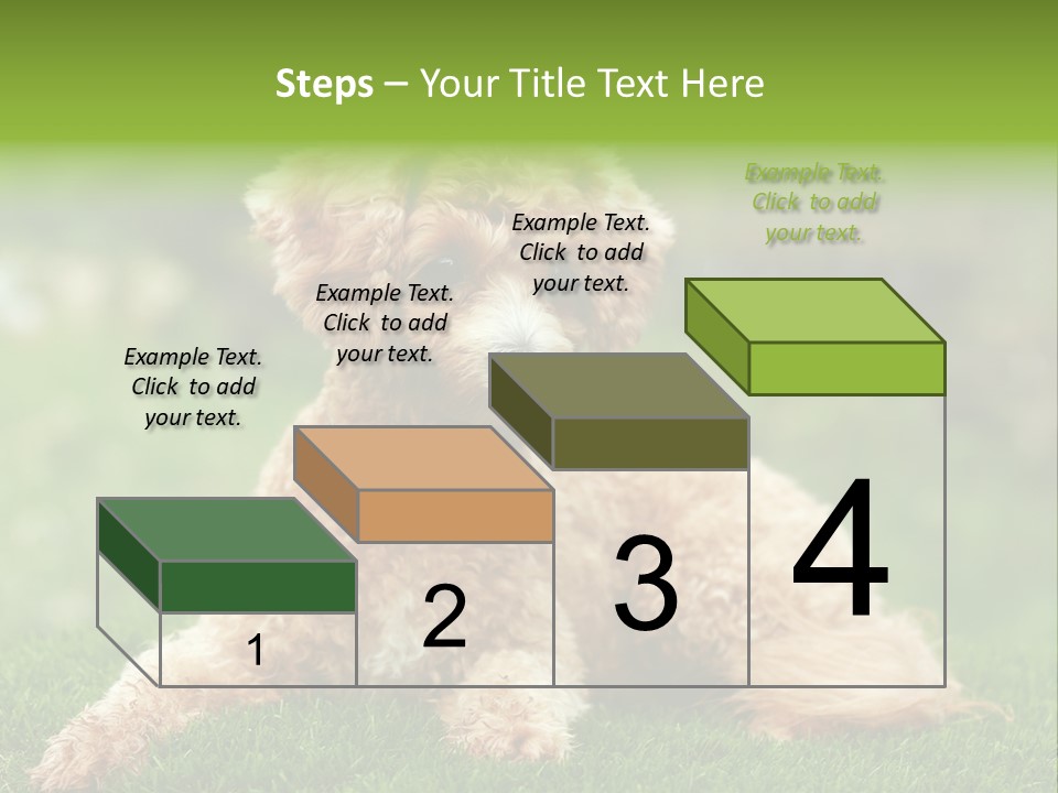 Cute Lying Poodle PowerPoint Template