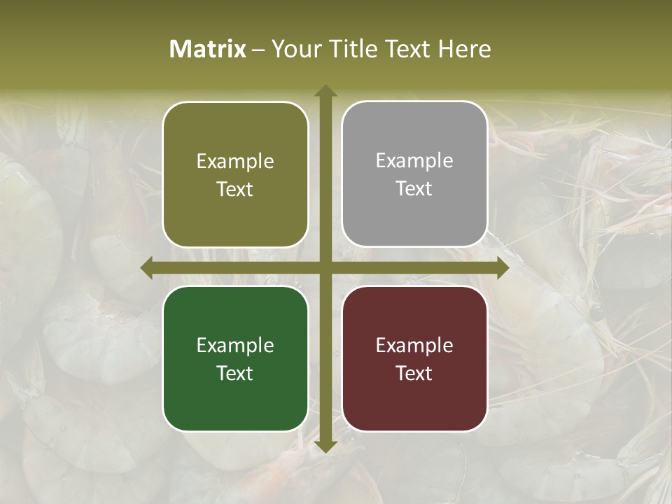 Shellfish Animals Raw PowerPoint Template