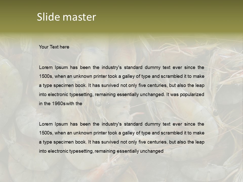 Shellfish Animals Raw PowerPoint Template