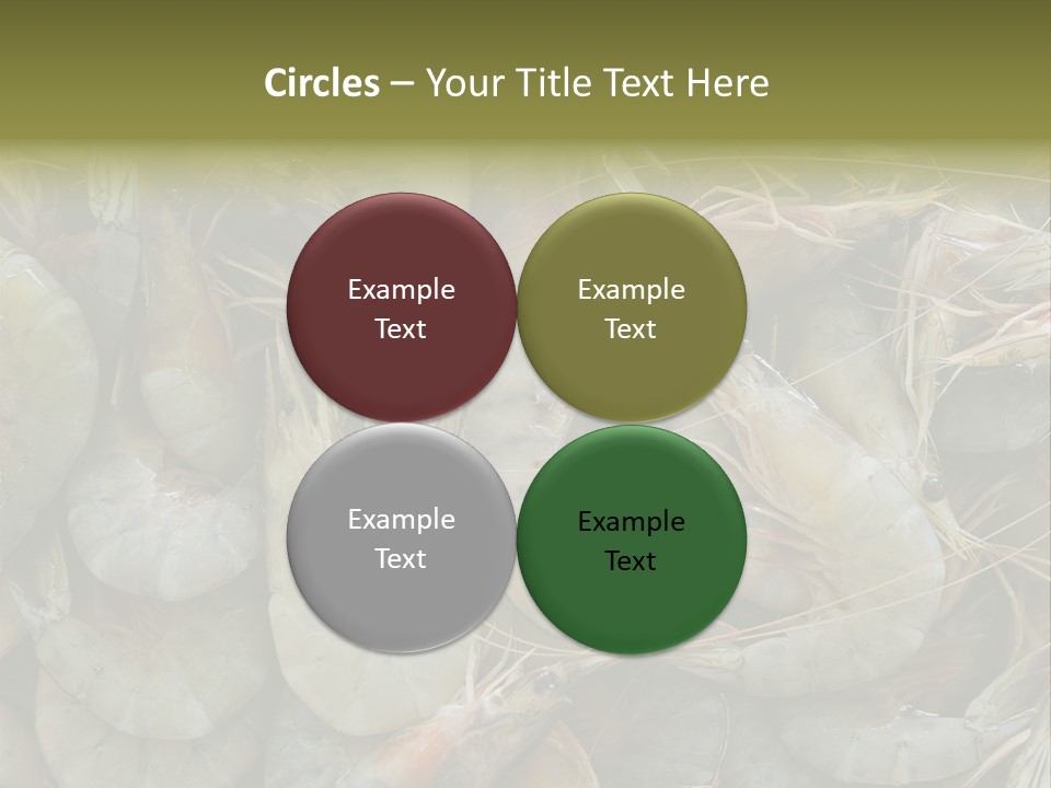 Shellfish Animals Raw PowerPoint Template