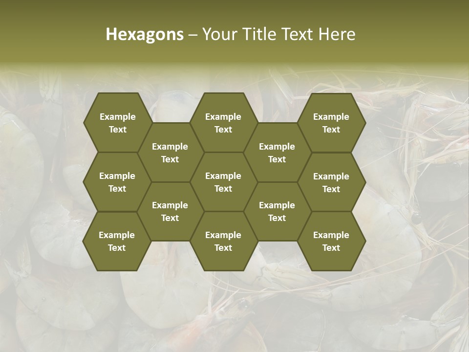 Shellfish Animals Raw PowerPoint Template