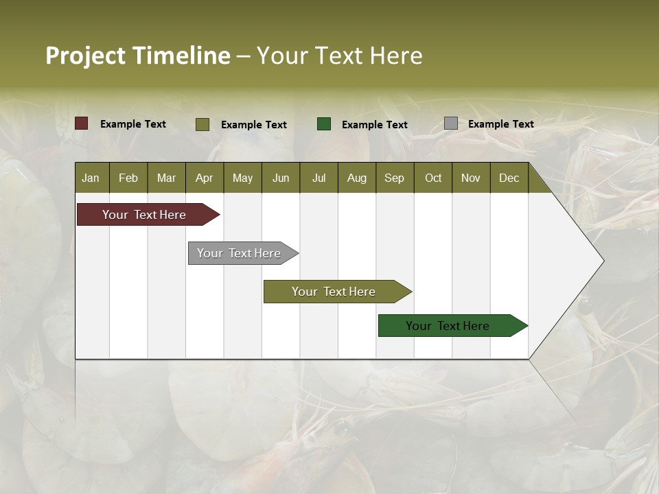 Shellfish Animals Raw PowerPoint Template