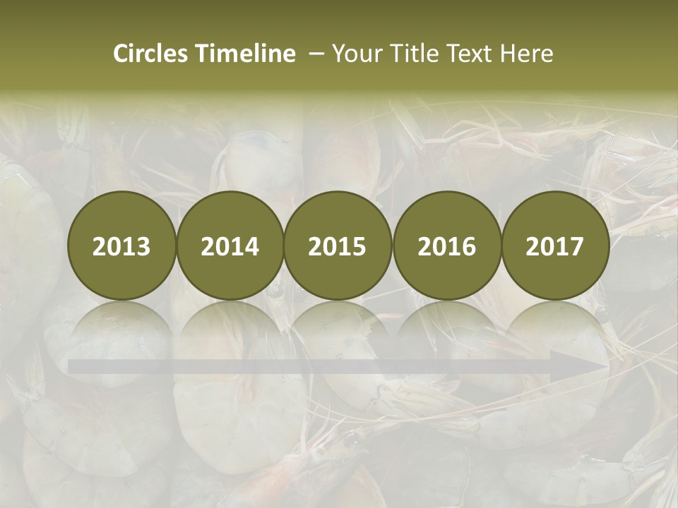 Shellfish Animals Raw PowerPoint Template