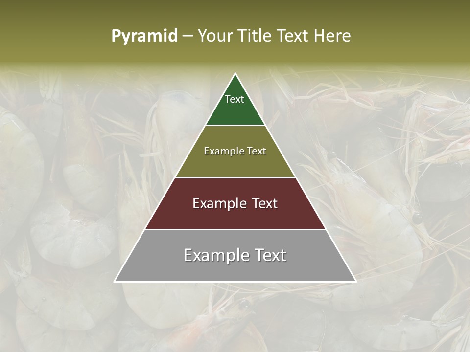 Shellfish Animals Raw PowerPoint Template