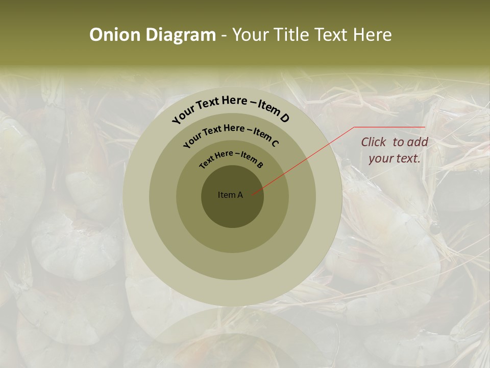 Shellfish Animals Raw PowerPoint Template