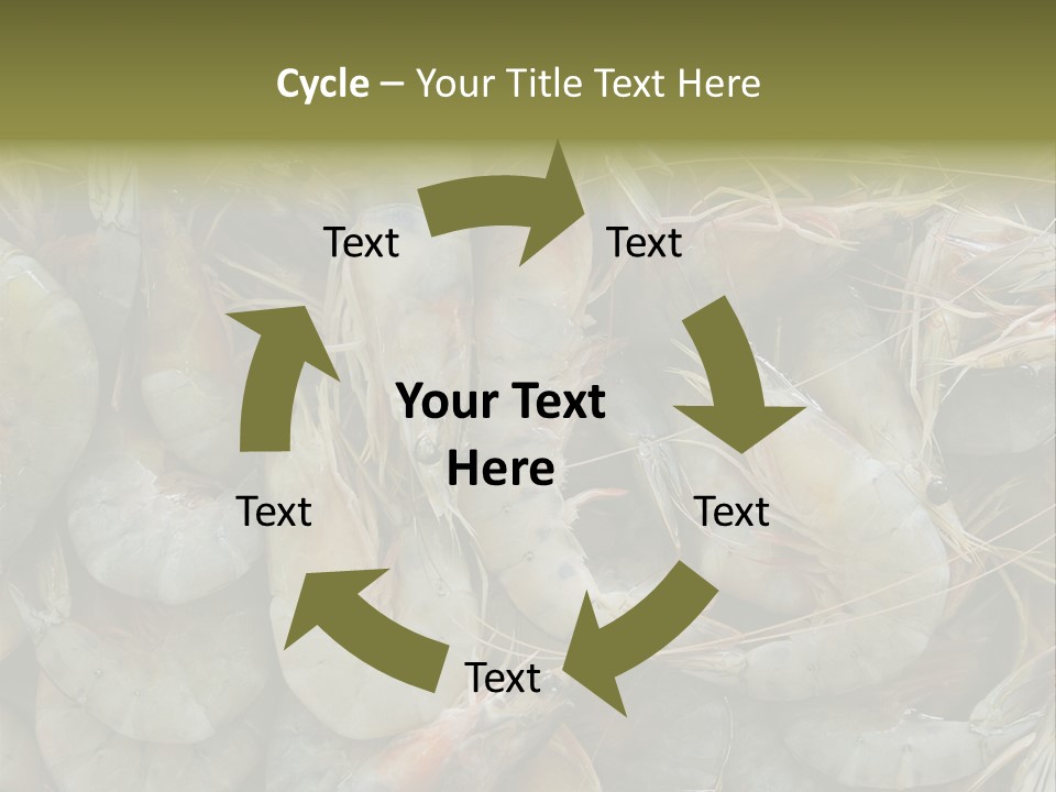 Shellfish Animals Raw PowerPoint Template