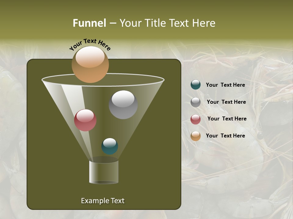 Shellfish Animals Raw PowerPoint Template