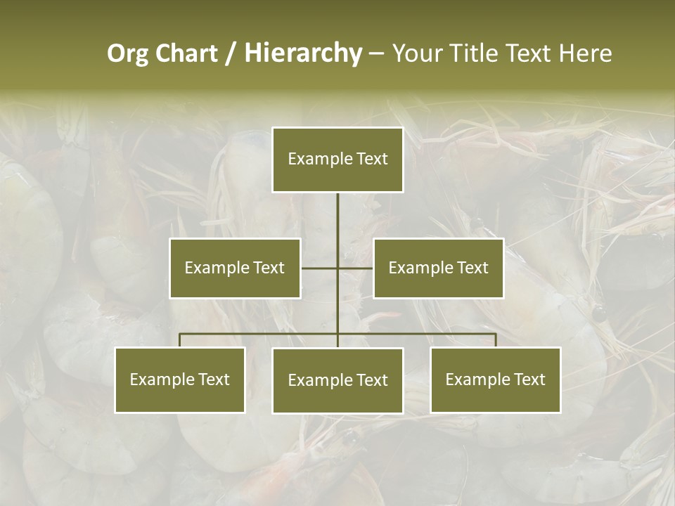Shellfish Animals Raw PowerPoint Template