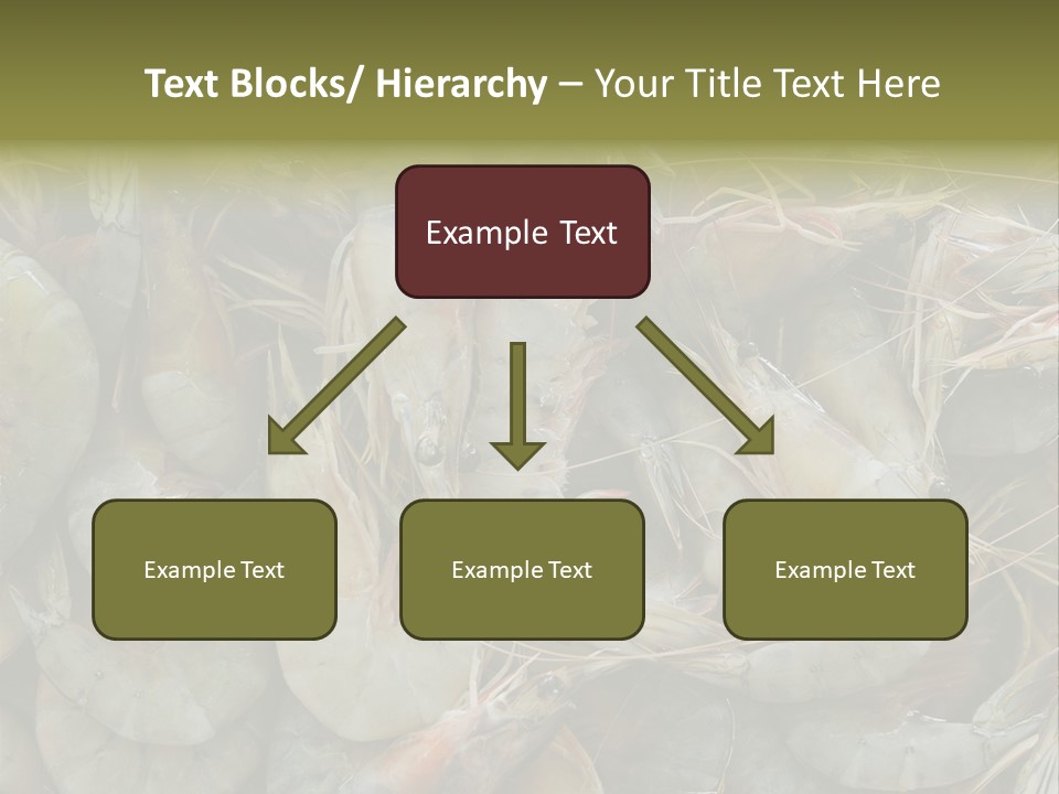 Shellfish Animals Raw PowerPoint Template