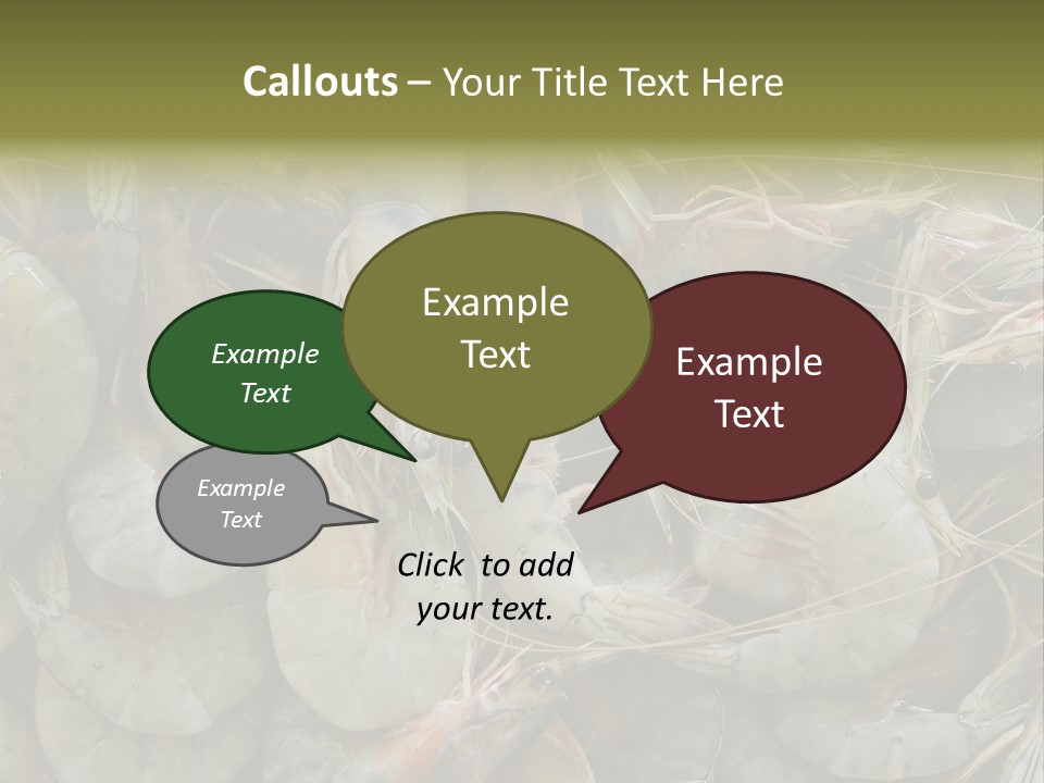 Shellfish Animals Raw PowerPoint Template