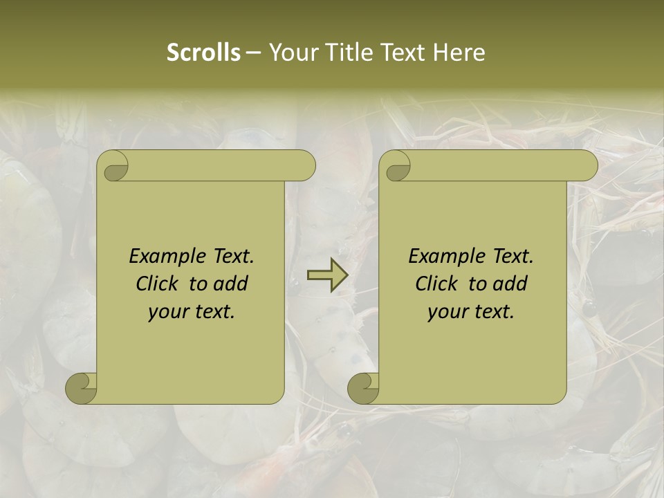 Shellfish Animals Raw PowerPoint Template