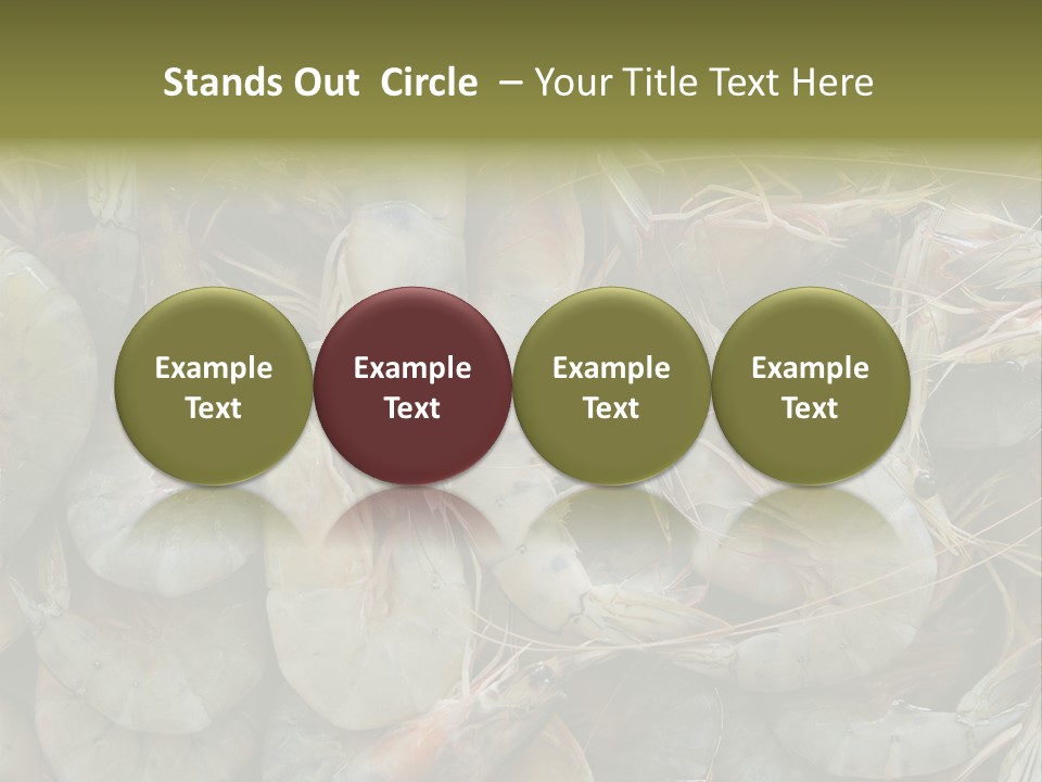Shellfish Animals Raw PowerPoint Template