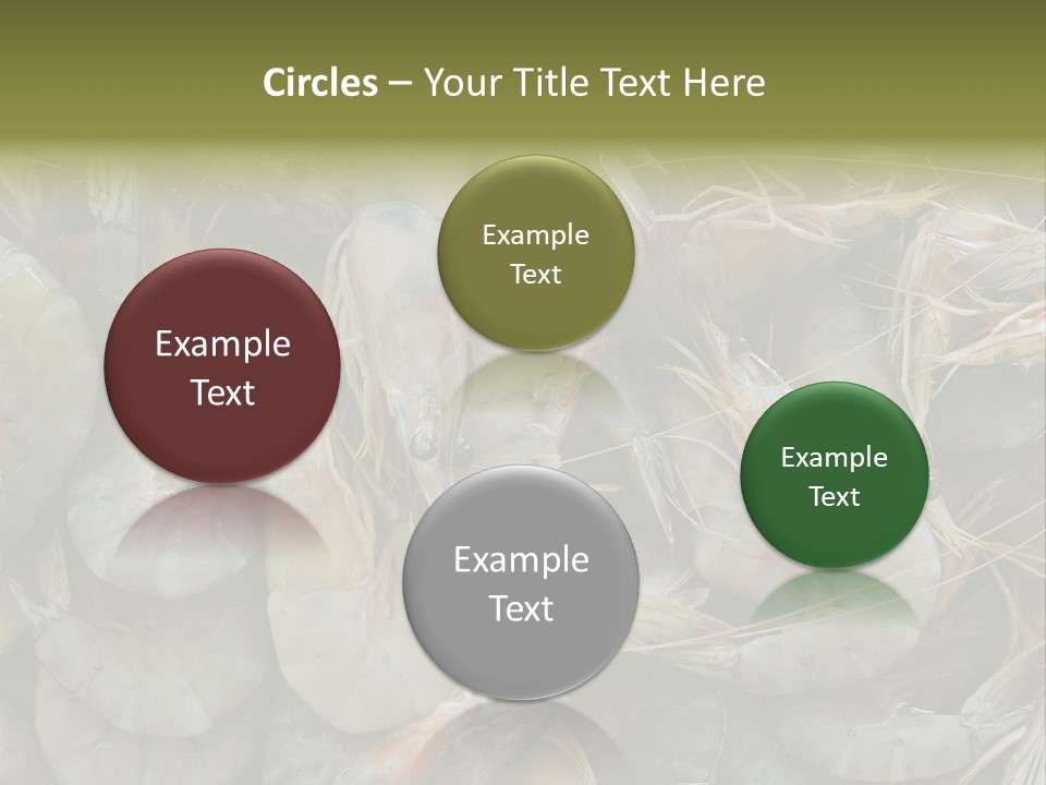 Shellfish Animals Raw PowerPoint Template