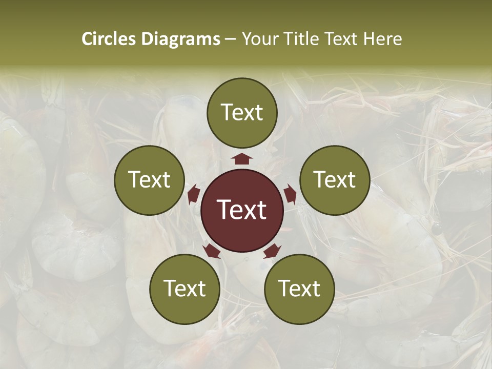 Shellfish Animals Raw PowerPoint Template