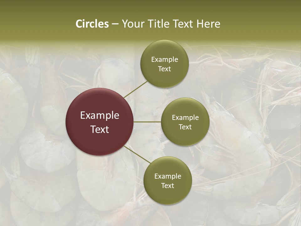 Shellfish Animals Raw PowerPoint Template